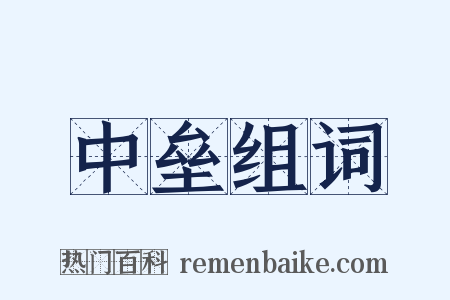 中垒组词是什么意思的图片